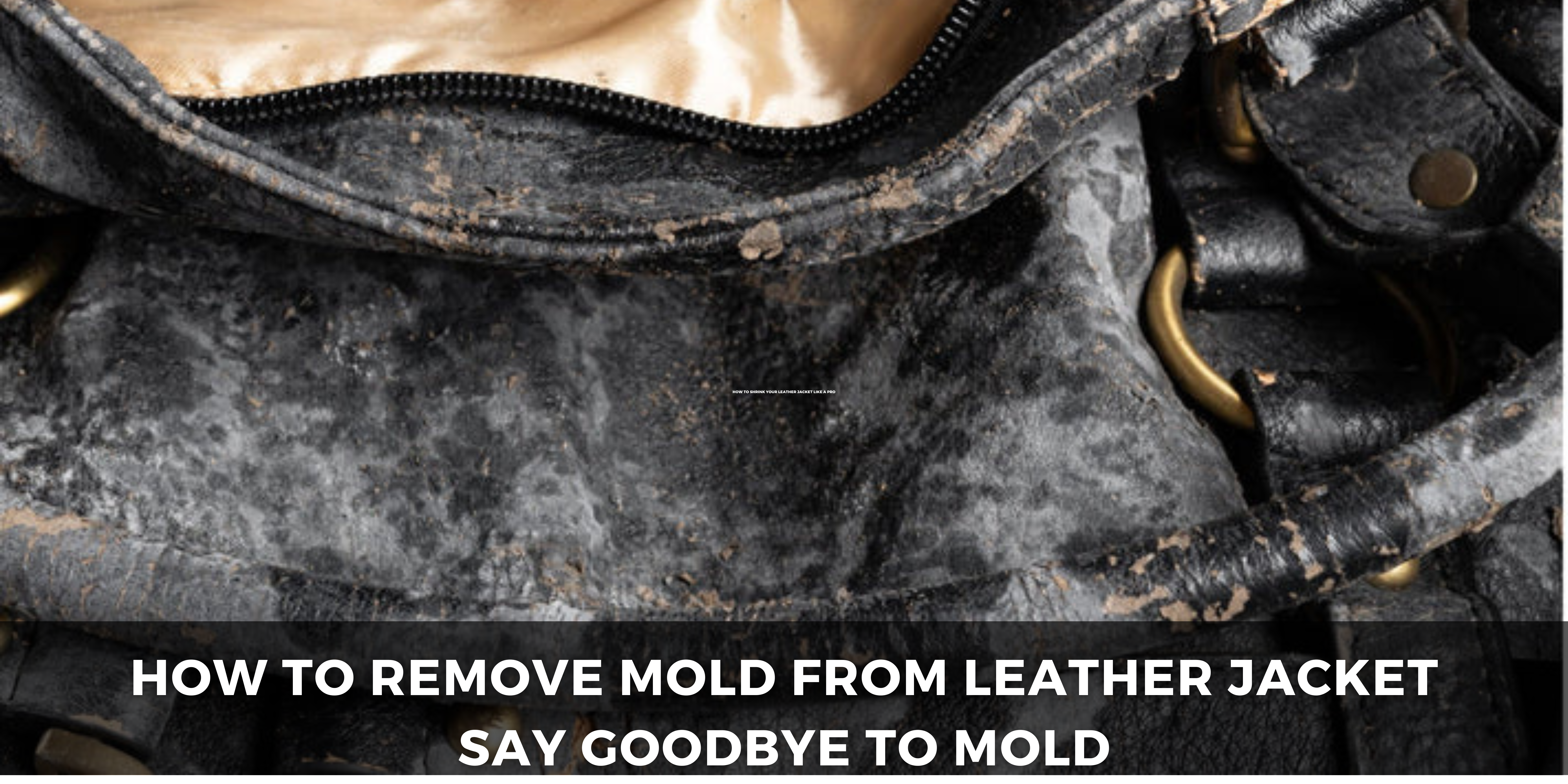How to Remove Mold From Leather jacket